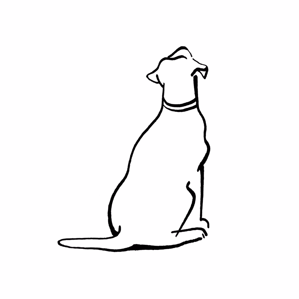 Illustratie hond